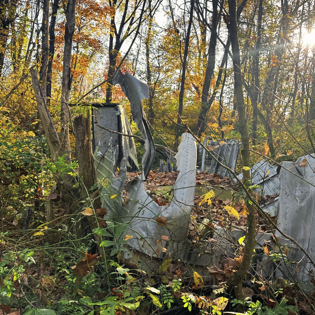 Andrews Community Unites to Save Local Waterways Town of Andrews, NC