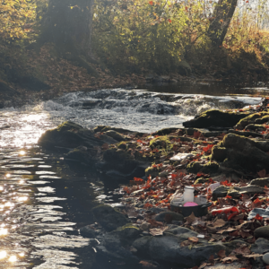 kitchenware near water